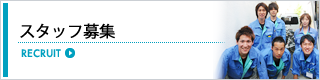 スタッフ募集